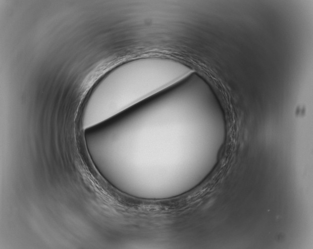 X0000110730242200906121317