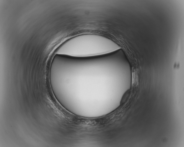 X0000110730243200906121317