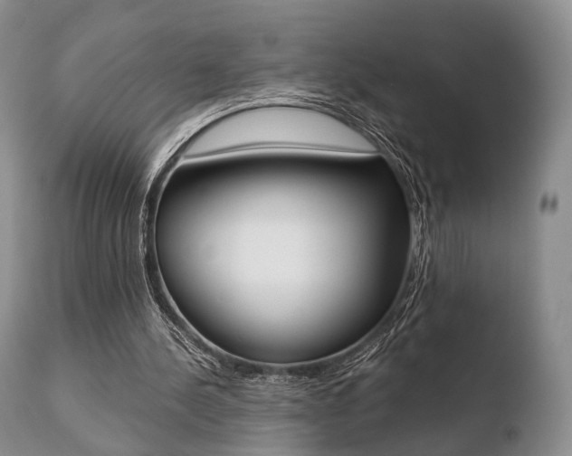X0000110730244200906121317