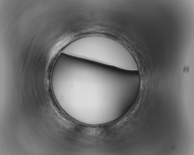 X0000110730245200906121317