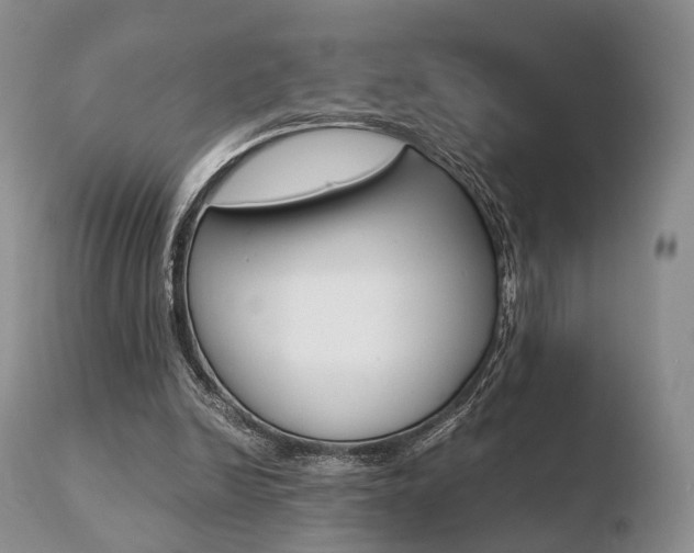 X0000110730246200906121317