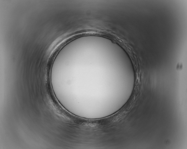 X0000110730247200906121317