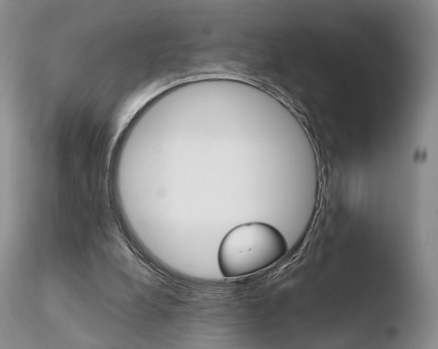 X0000110730248200906121317