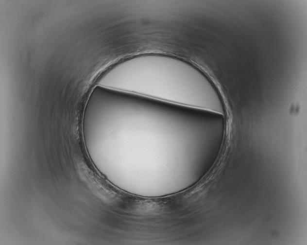 X0000110730249200906121317