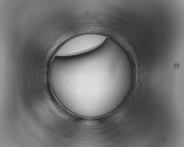 X0000110730250200906121317