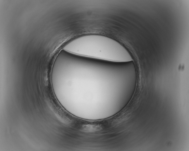 X0000110730251200906121317
