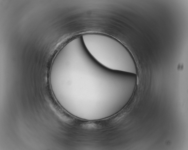 X0000110730253200906121317