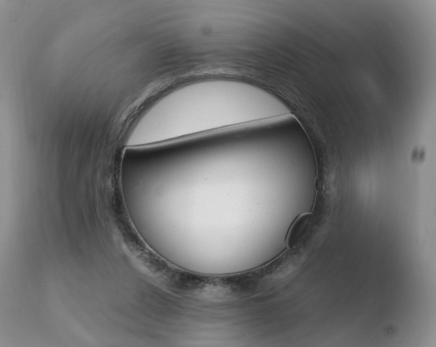 X0000110730256200906121317