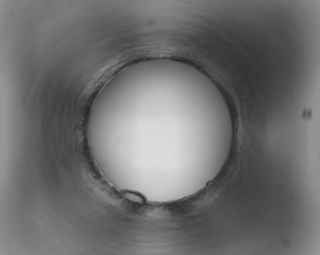 X0000110730258200906121317