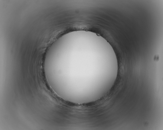X0000110730259200906121317