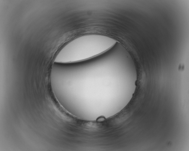 X0000110730261200906121317