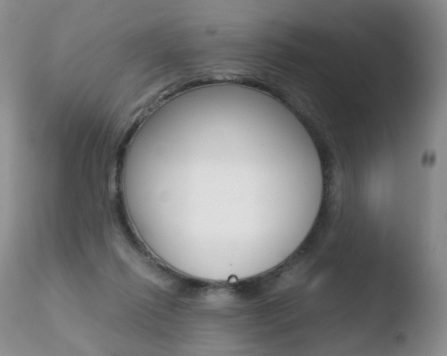 X0000110730262200906121317