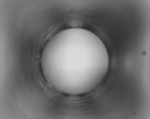 X0000110730263200906121317