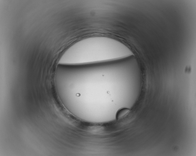 X0000110730266200906121317