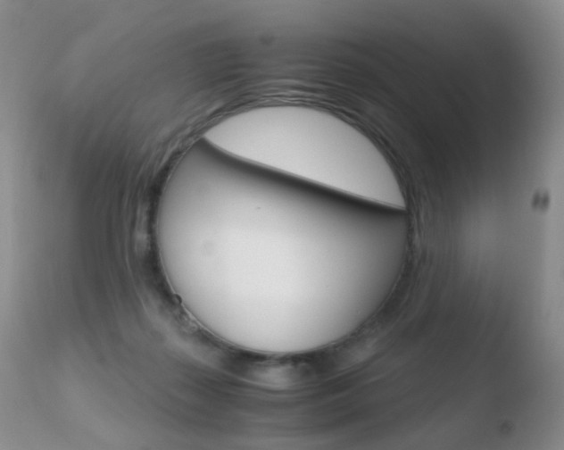X0000110730267200906121317