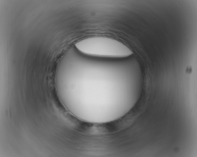X0000110730270200906121317