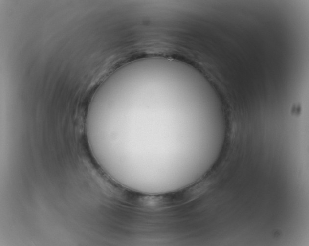 X0000110730273200906121317