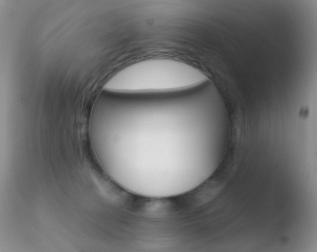 X0000110730274200906121317