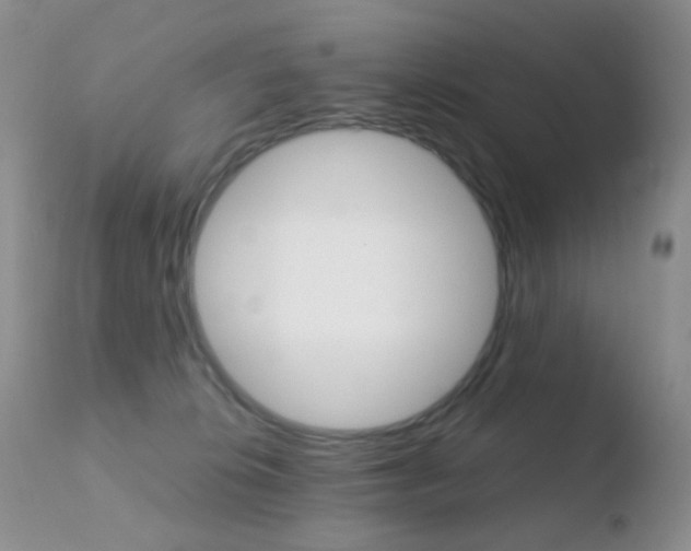 X0000110730276200906121318