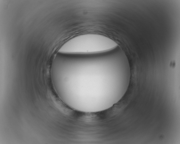 X0000110730278200906121318