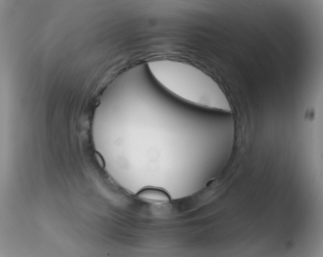 X0000110730279200906121318