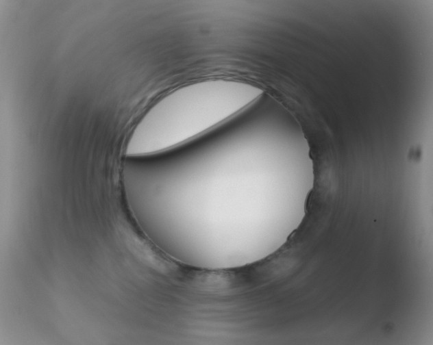 X0000110730282200906121318