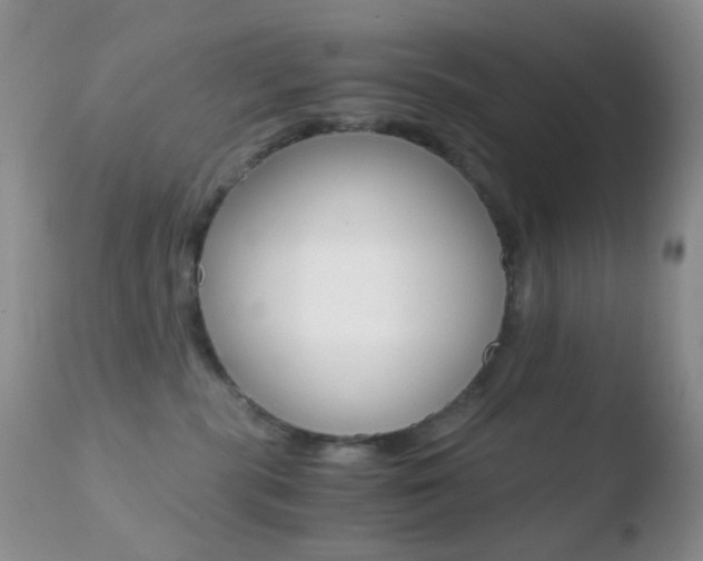 X0000110730283200906121318