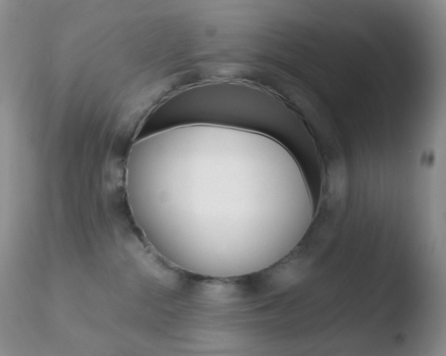 X0000110730284200906121318