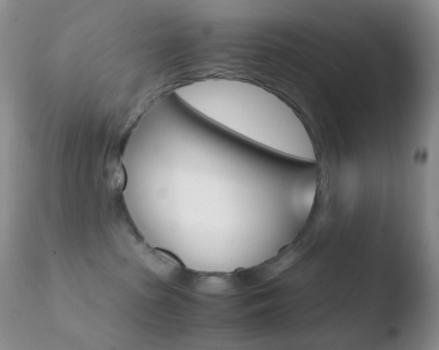 X0000110730285200906121318