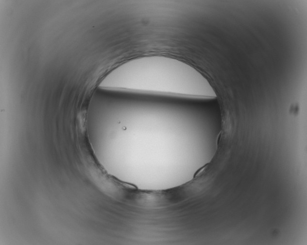 X0000110730286200906121318