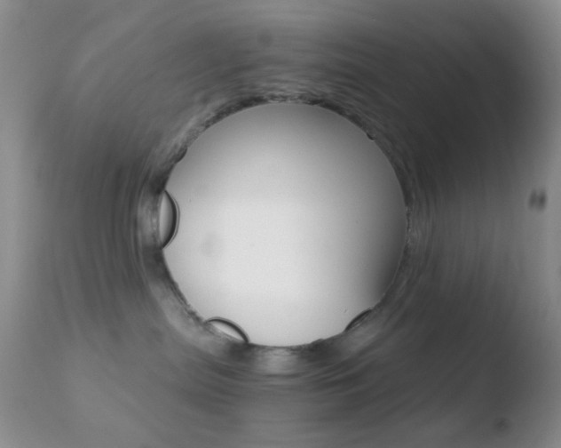 X0000110730287200906121318