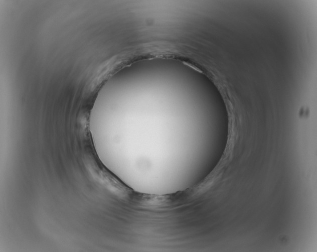 X0000110730288200906121318