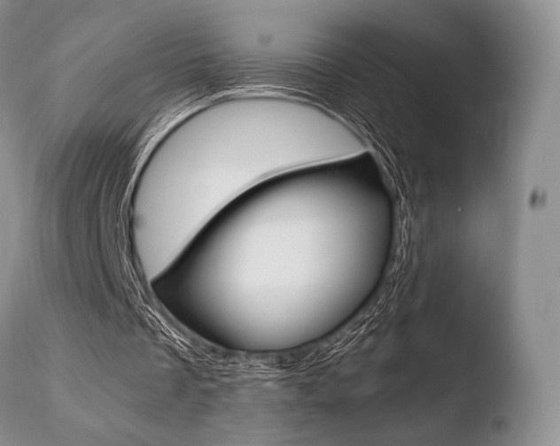 X0000110730289200906121317