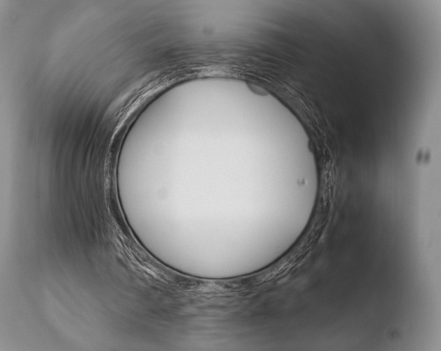 X0000110730290200906121317