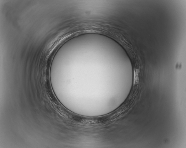 X0000110730291200906121317