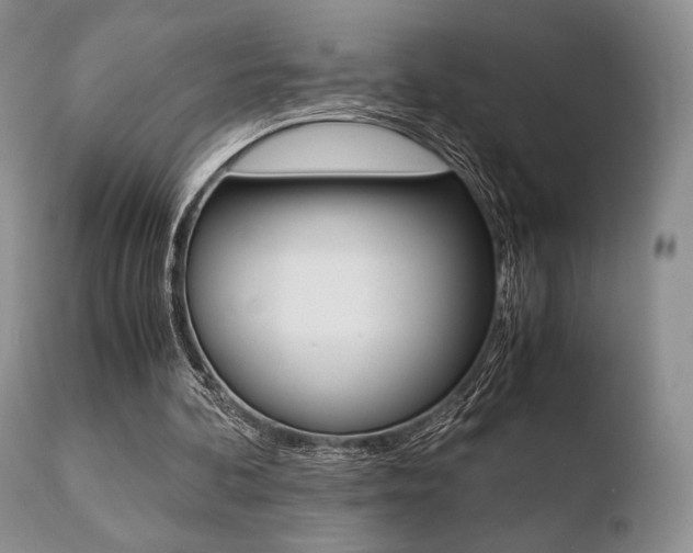 X0000110730292200906121317