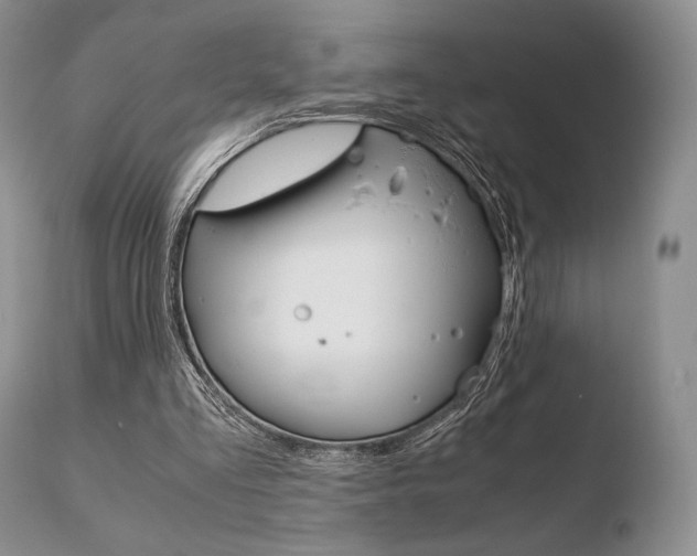 X0000110730293200906121317