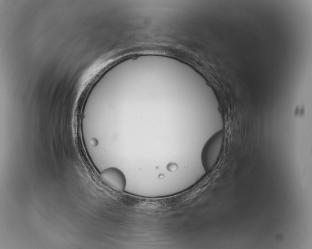 X0000110730294200906121317