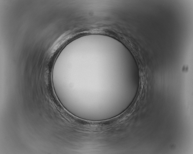 X0000110730295200906121317