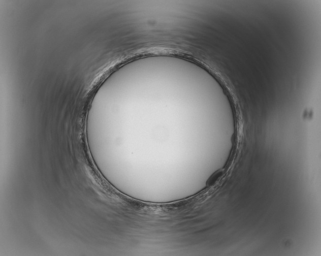 X0000110730297200906121317