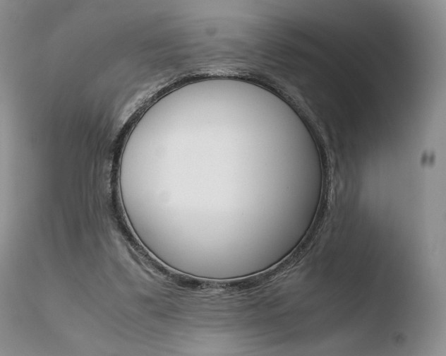 X0000110730299200906121317