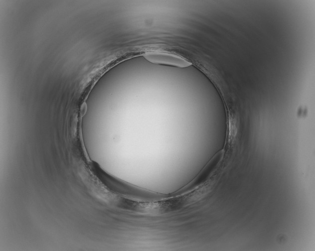 X0000110730301200906121317