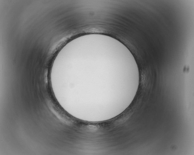 X0000110730302200906121317