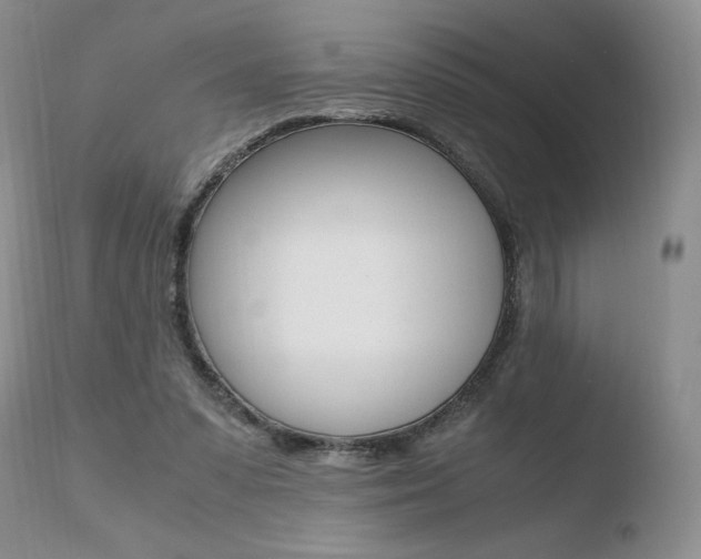 X0000110730303200906121317