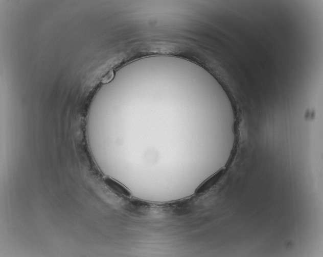 X0000110730305200906121317