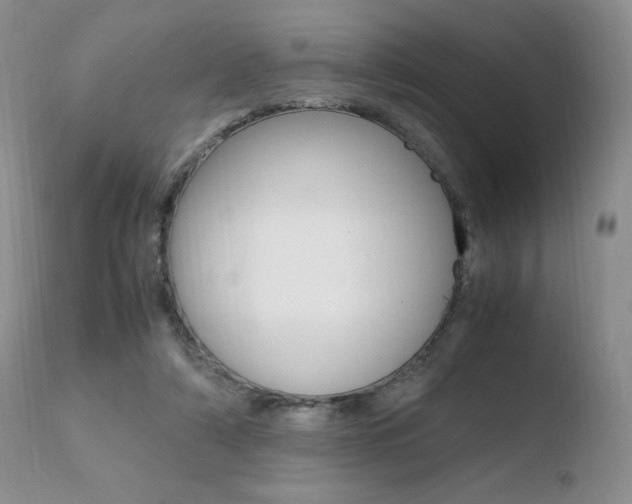 X0000110730306200906121317