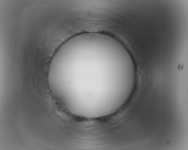 X0000110730307200906121317