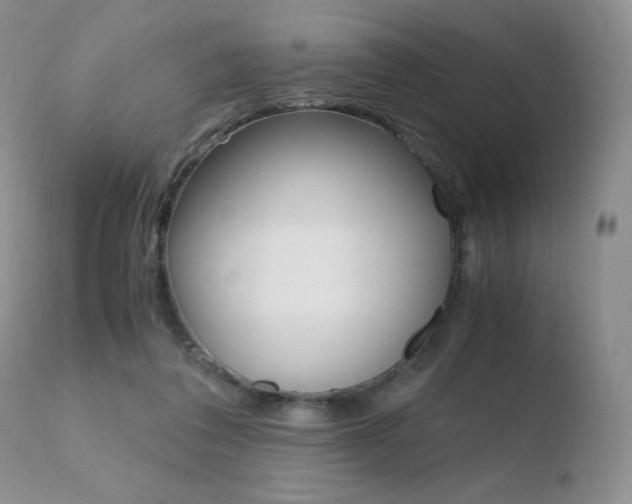 X0000110730308200906121317