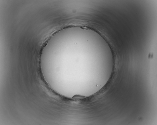 X0000110730309200906121317