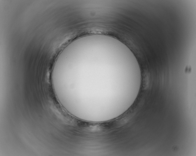 X0000110730310200906121317